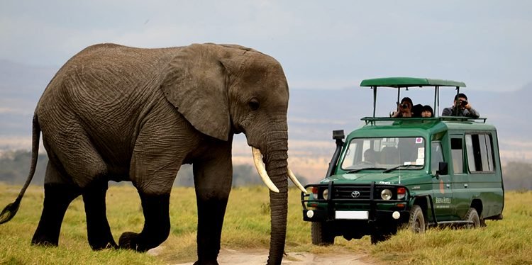 topsafariactivitiesinAkageranationalpark